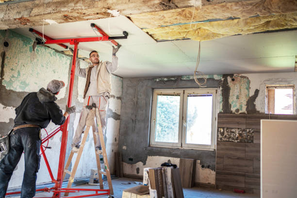 Best Cellulose Insulation in De Soto, IA