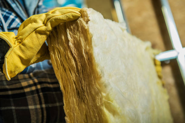 Best DIY Insulation Kits and Guidance in De Soto, IA