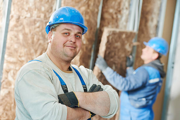 Best Blown-in Insulation in De Soto, IA
