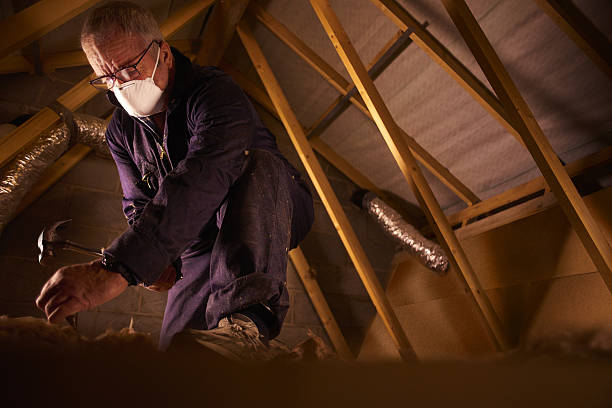Types of Insulation We Offer in De Soto, IA