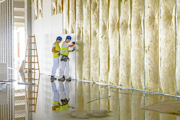 Best Fiberglass Insulation in De Soto, IA